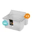 GoPaint Roll and Go XL - In-liners